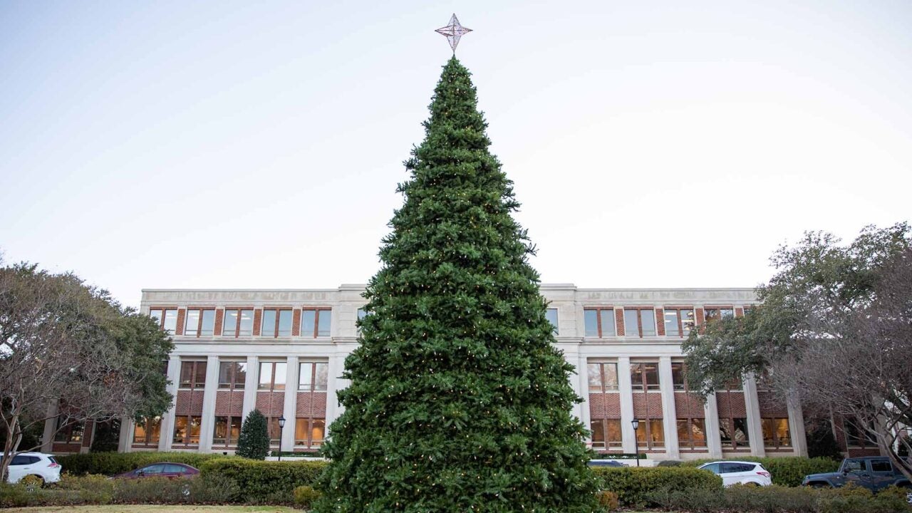 Christmas tree in front of building