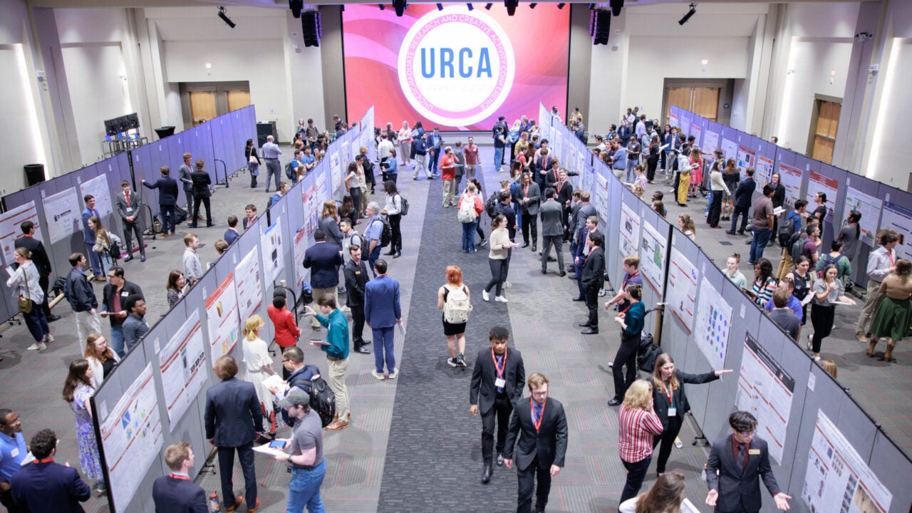 Students and faculty walk among several aisles with displays set up for research poster presentations in a large room. A banner at the end of the room reads URCA.